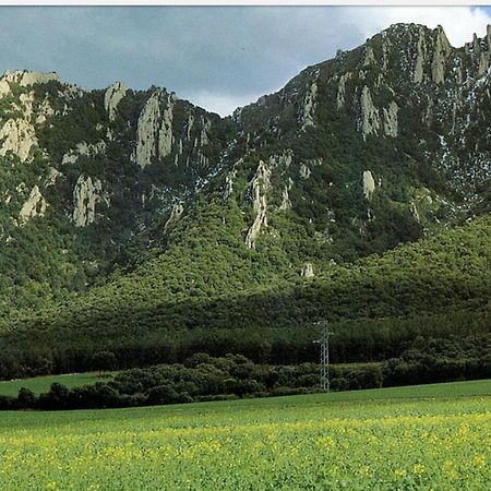 Greta Etxea Villa Arroniz ภายนอก รูปภาพ