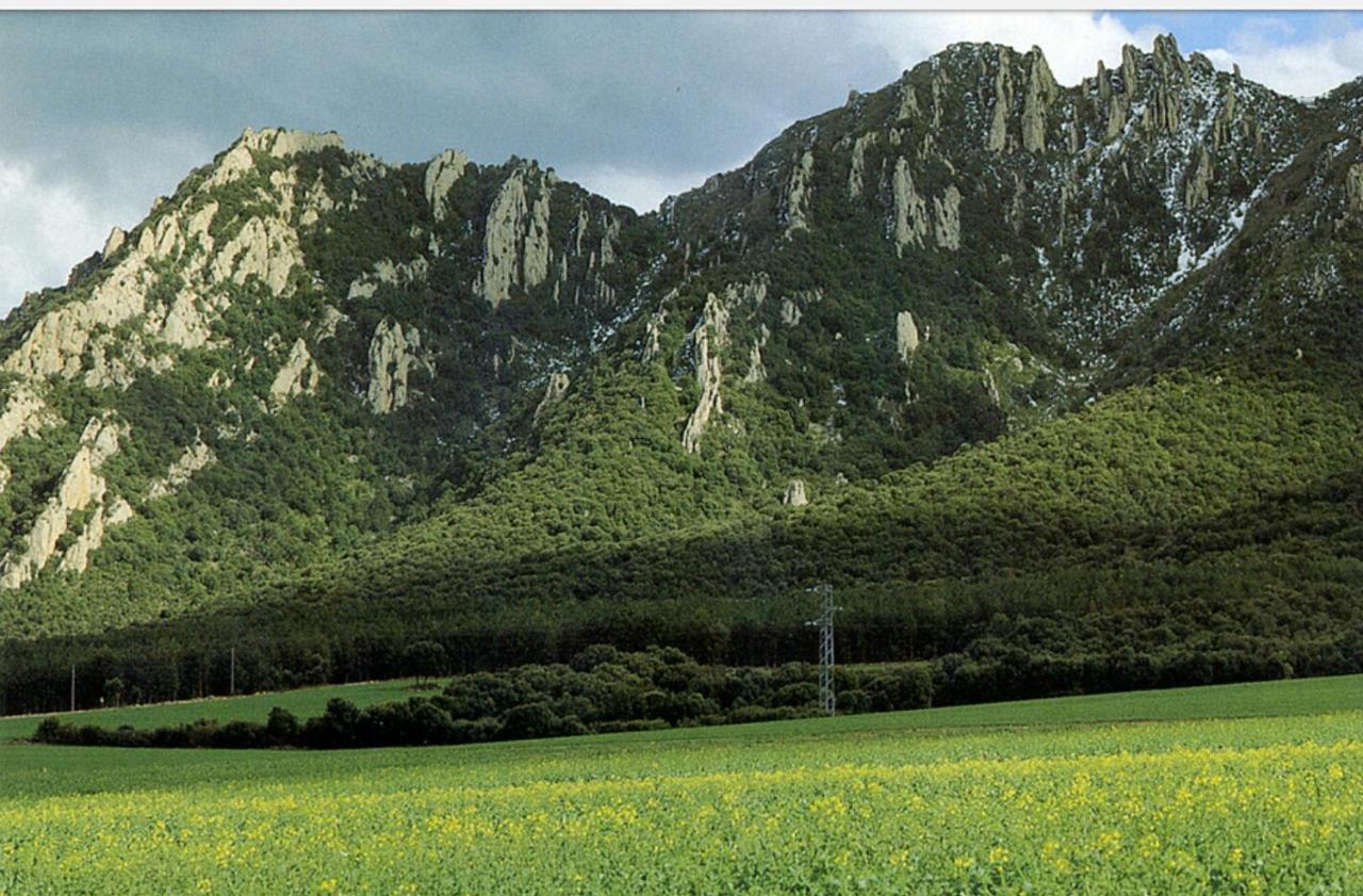 Greta Etxea Villa Arroniz ภายนอก รูปภาพ